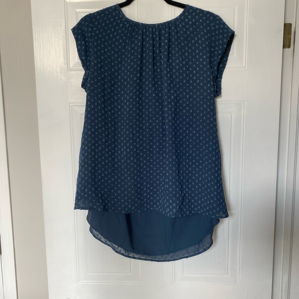 NWOT Sparkle Dot Tunic Blouse